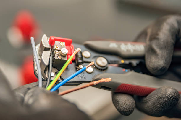 Best Local Electrician Companies  in Litchfield, MN