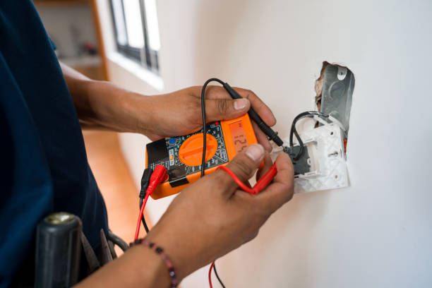 Best Generator Installation Services  in Litchfield, MN