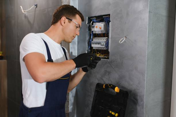 Best Electric Panel Repair  in Litchfield, MN