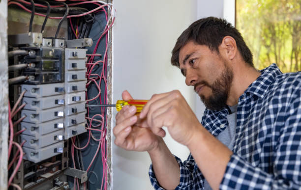 Best Electrical Outlet Repair  in Litchfield, MN